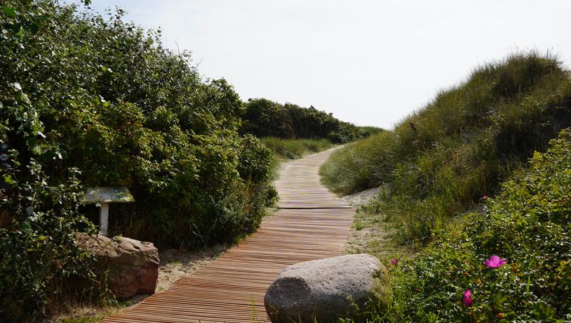 - handicapvenlig strand